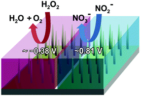 Graphical abstract: α-Fe2O3 nanorod arrays for bioanalytical applications: nitrite and hydrogen peroxide detection