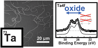 Graphical abstract: Tantalum-oxide catalysed chemical vapour deposition of single- and multi-walled carbon nanotubes