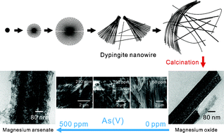 Graphical abstract: A facile template free solution approach for the synthesis of dypingite nanowires and subsequent decomposition to nanoporous MgO nanowires with excellent arsenate adsorption properties