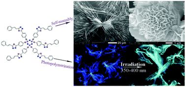 Graphical abstract: Microbelts and flower-like particles of hexakis-(4-(5-styryl-1,3,4-oxazodiazol-2-yl)-phenoxy)-cyclotriphosphazene: self-assembly and photoreaction