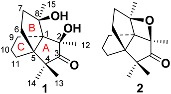 Graphical abstract: Dichrocephones A and B, two cytotoxic sesquiterpenoids with the unique [3.3.3] propellane nucleus skeleton from Dichrocephala benthamii