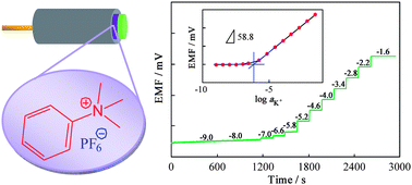 Graphical abstract: Design and synthesis of a task-specific ionic liquid as a transducer in potentiometric sensors