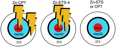 Graphical abstract: A microporous titanosilicate for selective killing of HeLa cancer cells