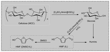 Graphical abstract: InCl3-ionic liquid catalytic system for efficient and selective conversion of cellulose into 5-hydroxymethylfurfural