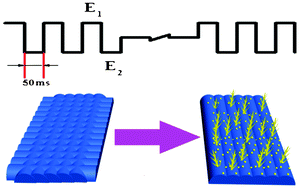 Graphical abstract: Preparation of Au nanodendrites supported on carbon fiber cloth and its catalytic performance to H2O2 electroreduction and electrooxidation