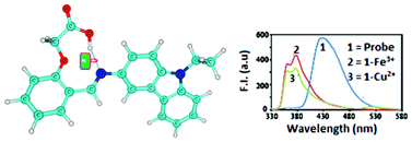 Graphical abstract: Carboxylated ‘locking unit’ directed ratiometric probe design, synthesis and application in selective recognition of Fe3+/Cu2+