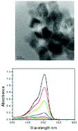 Graphical abstract: A novel synthetic approach for the preparation of sulfated titania with enhanced photocatalytic activity