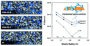Graphical abstract: Molecular modelling of polyimides with intrinsic microporosity: from structural characteristics to transport behaviour