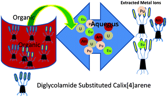 Graphical abstract: Complexation of trivalent lanthanides and actinides with several novel diglycolamide-functionalized calix[4]arenes: solvent extraction, luminescence and theoretical studies