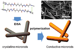 Graphical abstract: Conductive microrod preparation by molecular self-assembly and polymerization