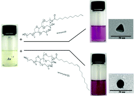 Graphical abstract: A simple shape-controlled synthesis of gold nanoparticles using nonionic surfactants