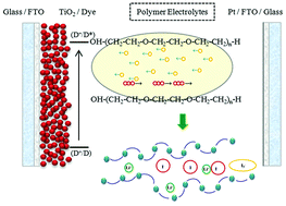Graphical abstract: Mechanistic insight into the individual ionic transportation in polymer electrolytes for use in dye-sensitized solar cells