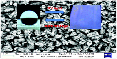 Graphical abstract: Fabrication of a ZnO nanocolumnar thin film on a glass slide and its reversible switching from a superhydrophobic to a superhydrophilic state