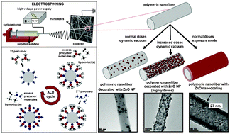 Graphical abstract: Surface-decorated ZnO nanoparticles and ZnO nanocoating on electrospun polymeric nanofibers by atomic layer deposition for flexible photocatalytic nanofibrous membranes