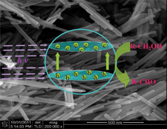 Graphical abstract: One-pot, high-yield synthesis of one-dimensional ZnO nanorods with well-defined morphology as a highly selective photocatalyst