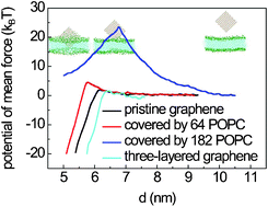 Graphical abstract: Cellular entry of graphene nanosheets: the role of thickness, oxidation and surface adsorption