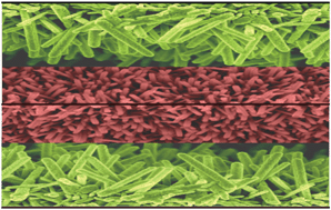 Graphical abstract: Fabrication of a ZnO nanogenerator for eco-friendly biomechanical energy harvesting