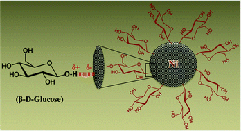 Graphical abstract: Green chemistry of glucose-capped ferromagnetic hcp-nickel nanoparticles and their reduced toxicity