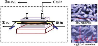 Graphical abstract: Preparation and characterization of silver film coated ZnO nanowire gas sensors based on the infrared surface enhancement effect for detection of VOCs