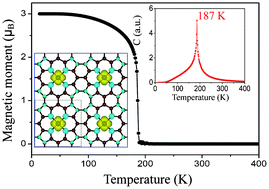 Graphical abstract: Stable ferromagnetism and half-metallicity in two-dimensional polyporphyrin frameworks