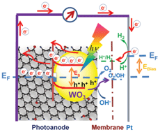 Graphical abstract: Understanding the photoelectrochemical properties of a reduced graphene oxide–WO3 heterojunction photoanode for efficient solar-light-driven overall water splitting