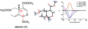 Graphical abstract: Oleonin, the first secoiridoid with 1α-configuration from Ligustrum lucidum