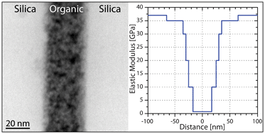 Graphical abstract: In situ elastic modulus measurements of ultrathin protein-rich organic layers in biosilica: towards deeper understanding of superior resistance to fracture of biocomposites