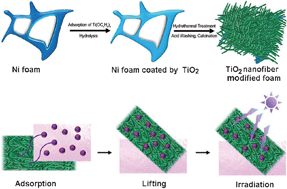 Graphical abstract: Engineering growth of TiO2 nanofibers on NiO–Ni foam with cleaning and separation functions