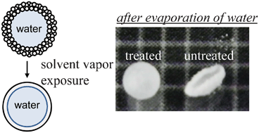 Graphical abstract: Preparation of poly(lactic-acid)-particle stabilized liquid marble and the improvement of its stability by uniform shell formation through solvent vapor exposure