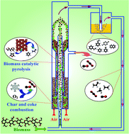 Graphical abstract: Co-catalytic pyrolysis of biomass and waste triglyceride seed oil in a novel fluidized bed reactor to produce olefins and aromatics integrated with self-heating and catalyst regeneration processes