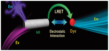 Graphical abstract: Lanthanide based resonance energy transfer (LRET) between Ce-doped LaPO4 nanorods and coumarin 440 dye