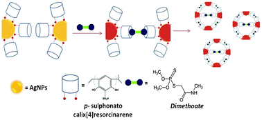 Graphical abstract: Ultrasensitive and specific detection of dimethoate using a p-sulphonato-calix[4]resorcinarene functionalized silver nanoprobe in aqueous solution