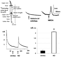 Graphical abstract: In vivo voltammetric evidence that cerebral nitric oxide (NO) is influenced by drugs of abuse: is NO implicated in their neurotoxicity?