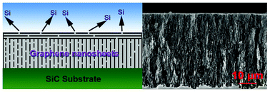 Graphical abstract: Fabrication of vertically aligned graphene sheets on SiC substrates