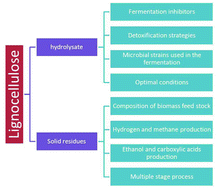 Graphical abstract: Recent studies on thermophilic anaerobic bioconversion of lignocellulosic biomass