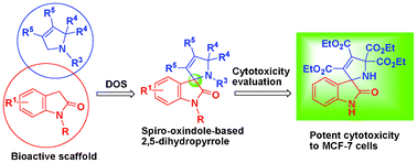 Graphical abstract: Diversity-oriented synthesis of spiro-oxindole-based 2,5-dihydropyrroles via three-component cycloadditions and evaluation on their cytotoxicity