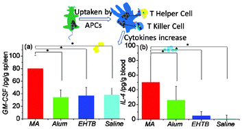 Graphical abstract: Simple synthesis route of mesoporous AlOOH nanofibers to enhance immune responses