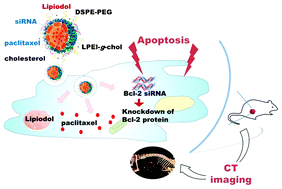 Graphical abstract: Radio-opaque theranostic nanoemulsions with synergistic anti-cancer activity of paclitaxel and Bcl-2 siRNA
