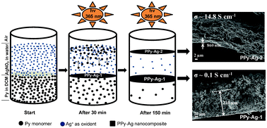 Graphical abstract: One step synthesis of highly ordered free standing flexible polypyrrole-silver nanocomposite films at air–water interface by photopolymerization