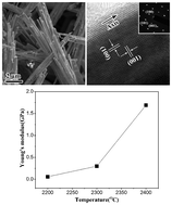 Graphical abstract: A hierarchical scaffold: natural growth of three-dimensional nanowire bundles from microporous Ta