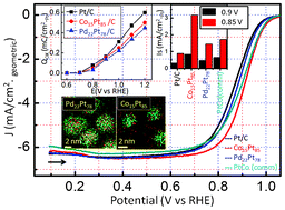 Graphical abstract: Enhanced oxygen reduction reaction by bimetallic CoPt and PdPt nanocrystals