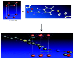 Graphical abstract: Adsorption and inhibition effect of methyl carbamate on copper metal in 1 N HNO3: an experimental and theoretical study