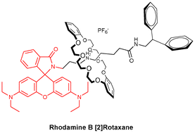 Graphical abstract: Design and synthesis of a novel Rhodamine B [2]rotaxane