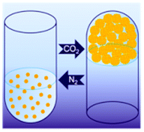 Graphical abstract: CO2-triggered liquid–solid switching through a jamming mechanism