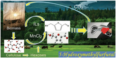Graphical abstract: Efficient process for the direct transformation of cellulose and carbohydrates to 5-(hydroxymenthyl)furfural with dual-core sulfonic acid ionic liquids and co-catalysts