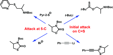 Graphical abstract: Activation and regioselectivity of five-membered cyclic thionocarbamates to nucleophilic attack