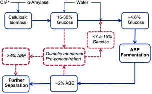 Graphical abstract: Engineered osmosis for pre-concentration of sugar-derived biofuels