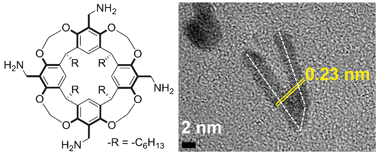 Graphical abstract: Brust–Schiffrin synthesis of catalytic bipodal PdPt nanoparticles with some mechanistic insights