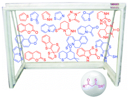 Graphical abstract: β-Oxodithioesters: a new frontier for diverse heterocyclic architectures