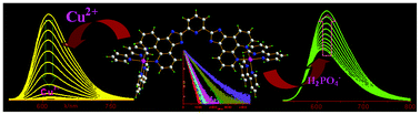 Graphical abstract: Synthesis, structural characterization and anion-, cation- and solvent-induced tuning of photophysical properties of a bimetallic Ru(ii) complex: combined experimental and DFT/TDDFT investigation